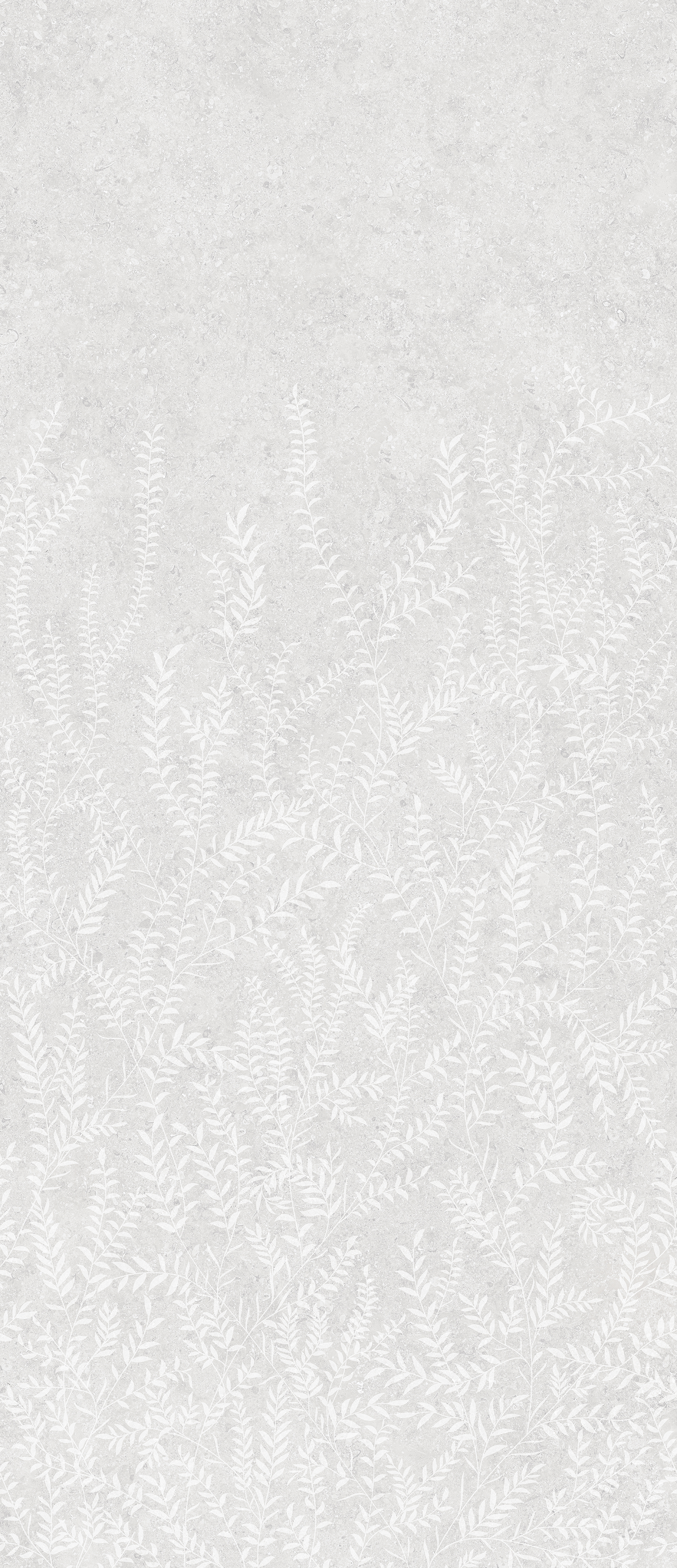 ONEGA FERN DECORE.jpg